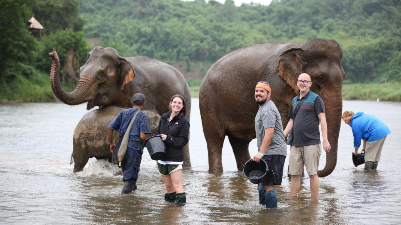 elephant experience in laos