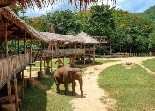 Elephant Nature Park