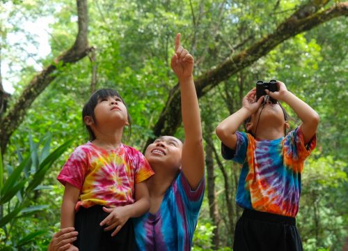 Nature Discovery Walk