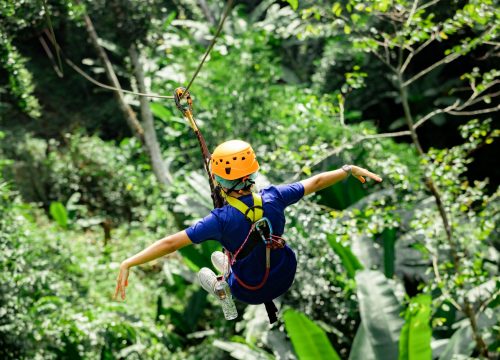 Zipline Jungle Ride