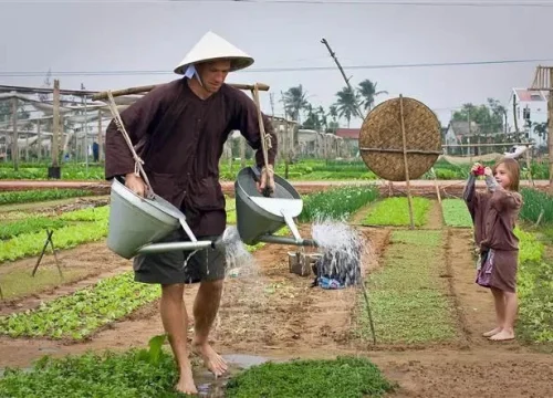 Tra Que Vegetable Village