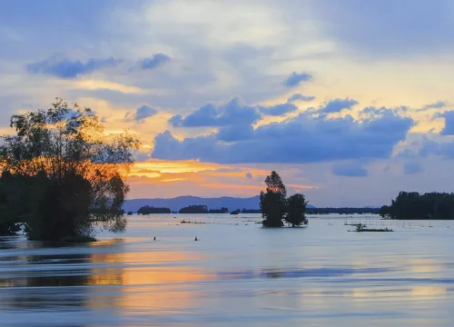 Tonle Sap Lake Cruise Guide: Peaceful Adventures Await