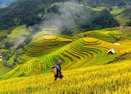 Finding The Best Time To Visit Vietnam: Plan Your Journey