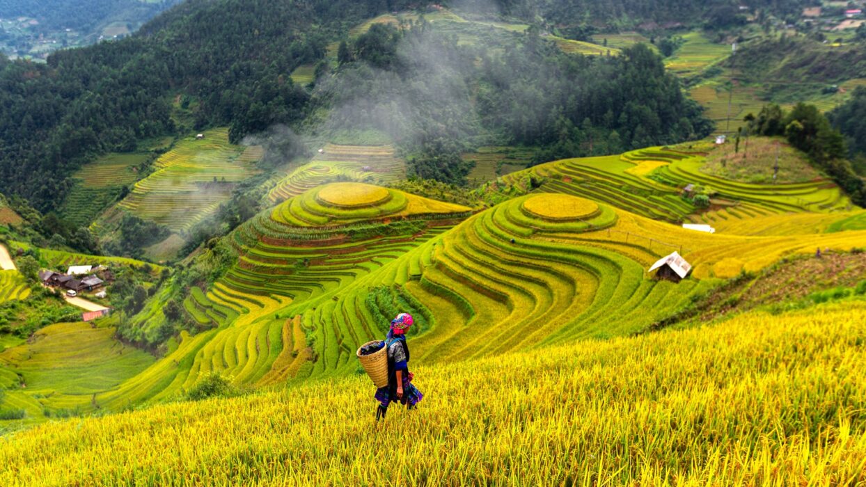Finding The Best Time To Visit Vietnam
