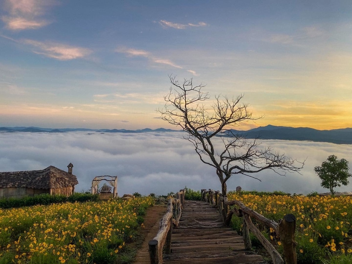 best time to visit vietnam da lat