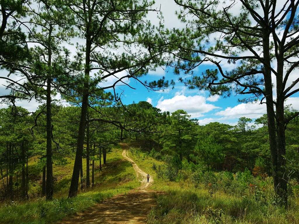 Bidoup-best-trekking-in-vietnam