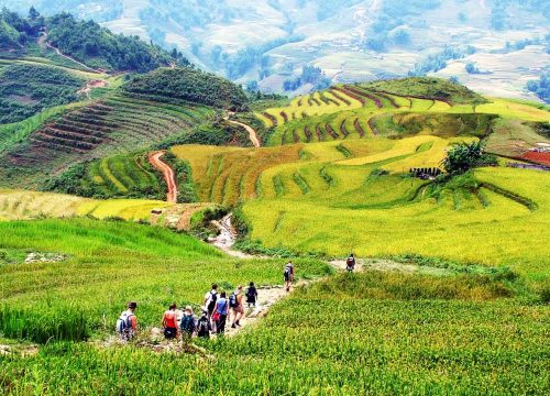The Best Trekking in Vietnam: 10 Must-Do Trails for 2025