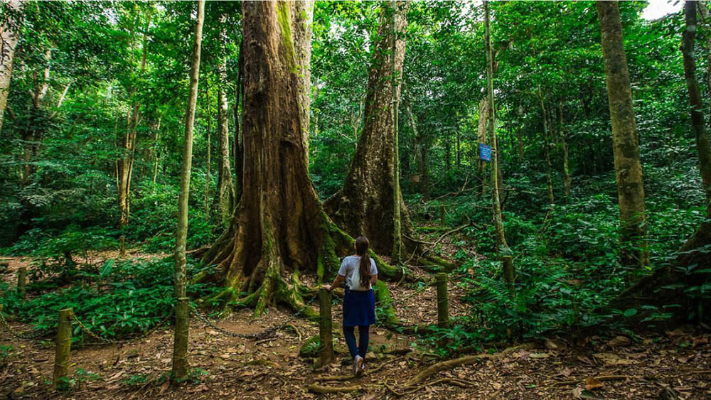 Cuc Phuong best trekking in vietnam