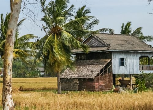 A Day in a Cambodian Village: Immersive Rural Travel