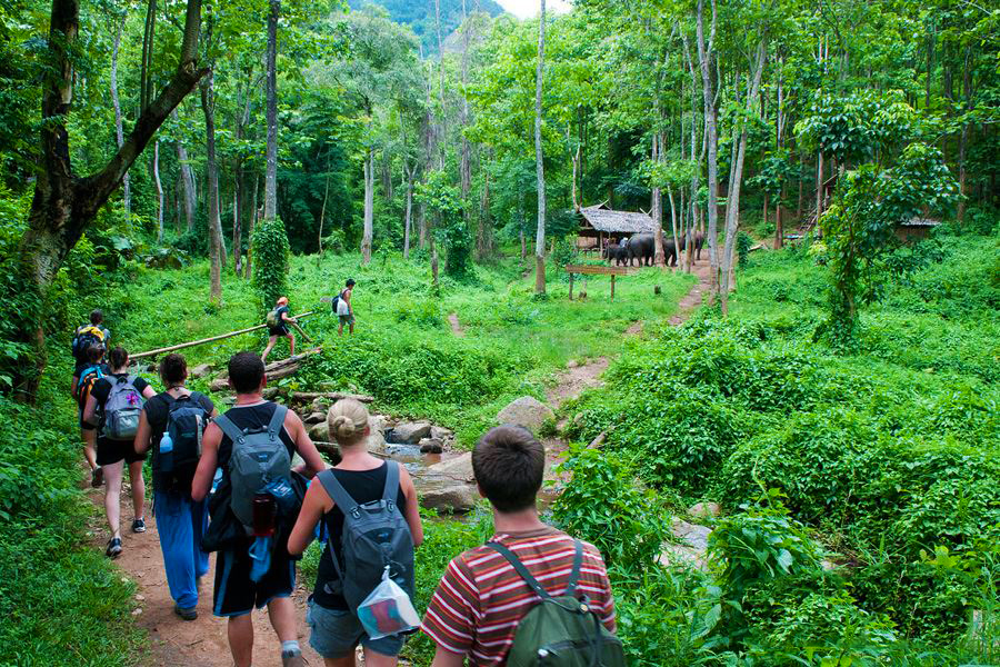 hiking in vietnam cuc phuong