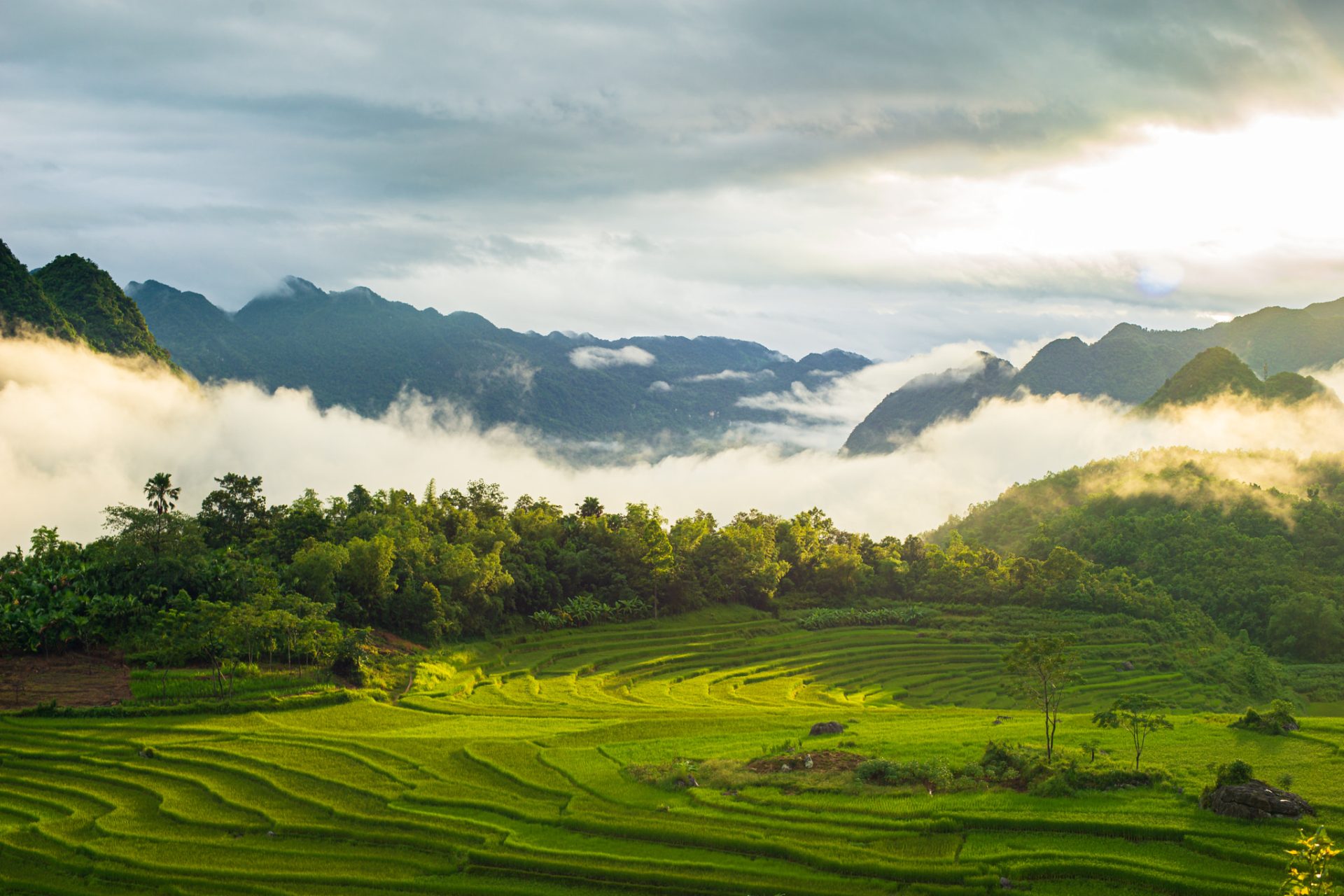 hiking in vietnam pu luong