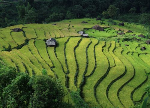 Photographer’s Guide to Vietnam’s Northern Highlands: Capturing the Soul of Southeast Asia