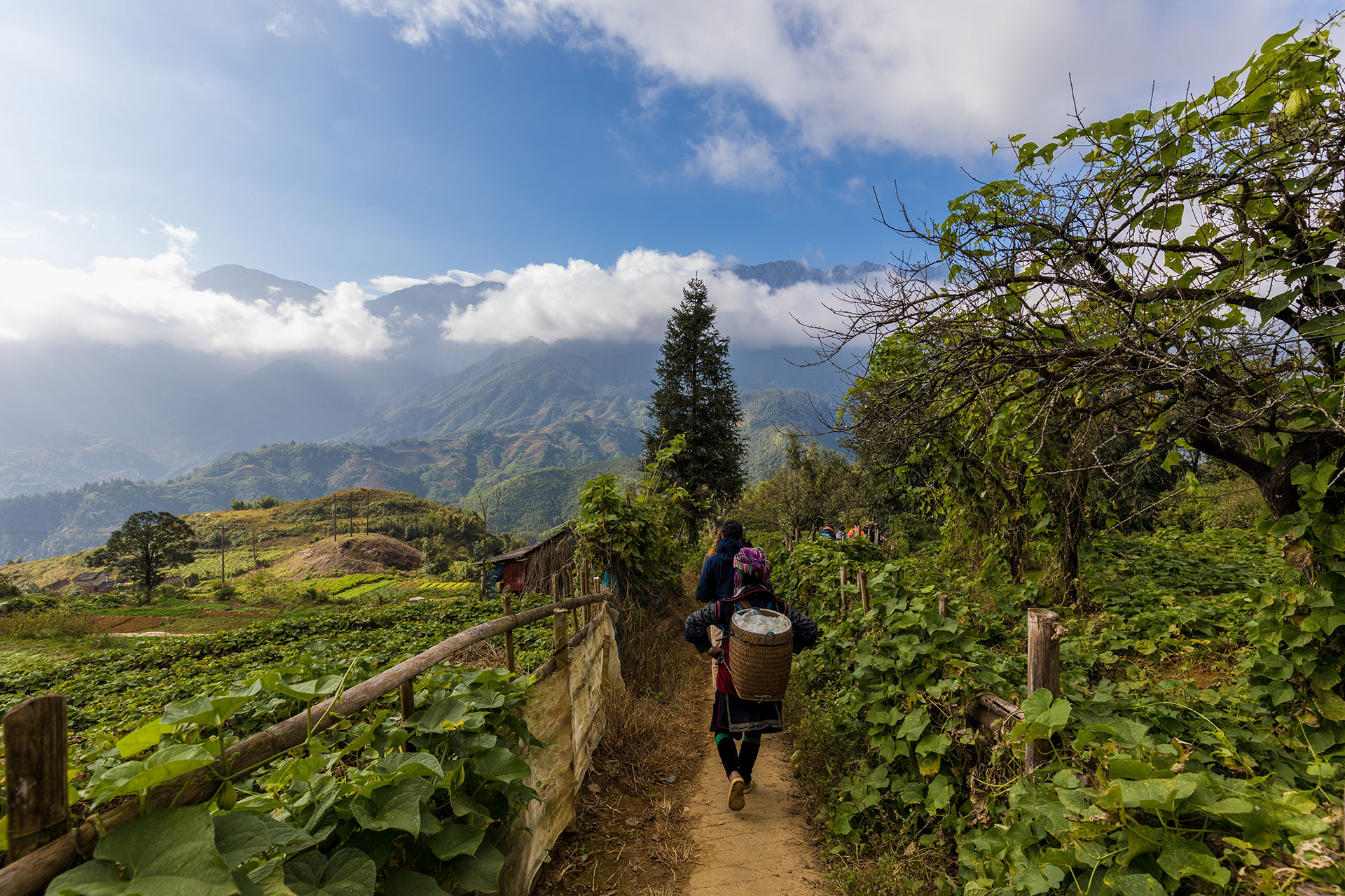Hire a local guide in northern Vietnam for a deeper, more authentic and scenic journey
