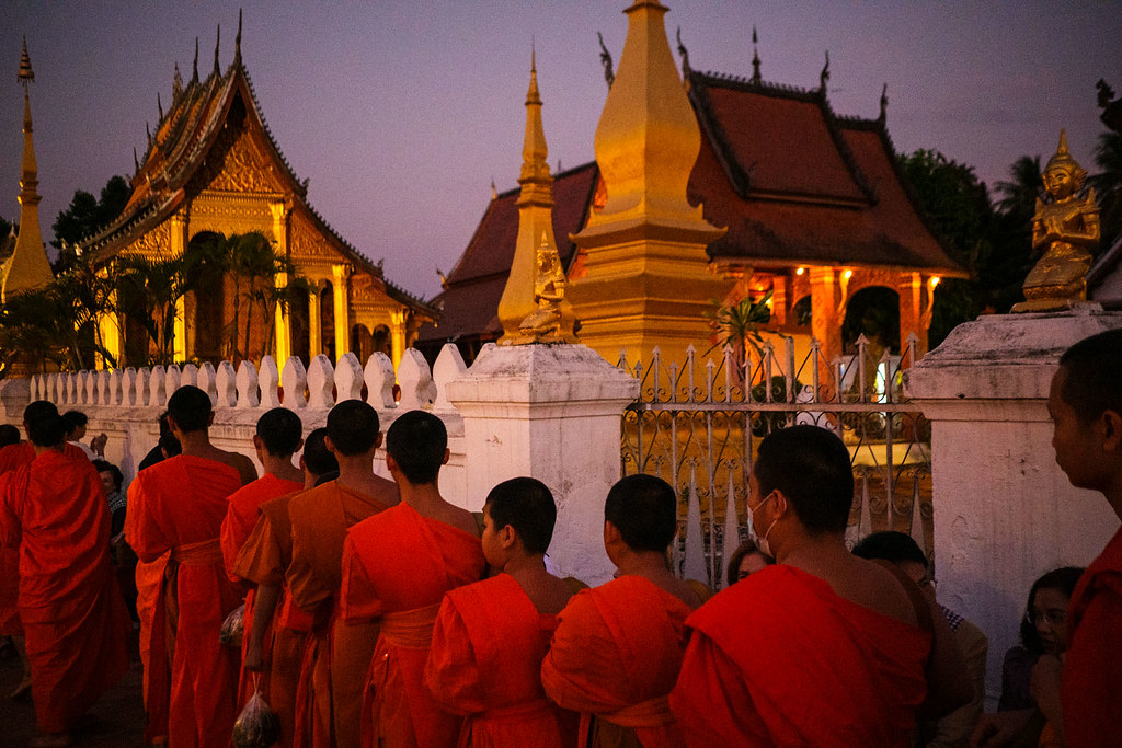 Monks in saffron robes walking in line during the morning almsgiving ceremony in Luang Prabang, Laos