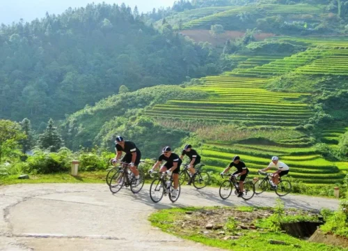 Top 10+ Best Vietnam Cycling Tours (Updated 2026)
