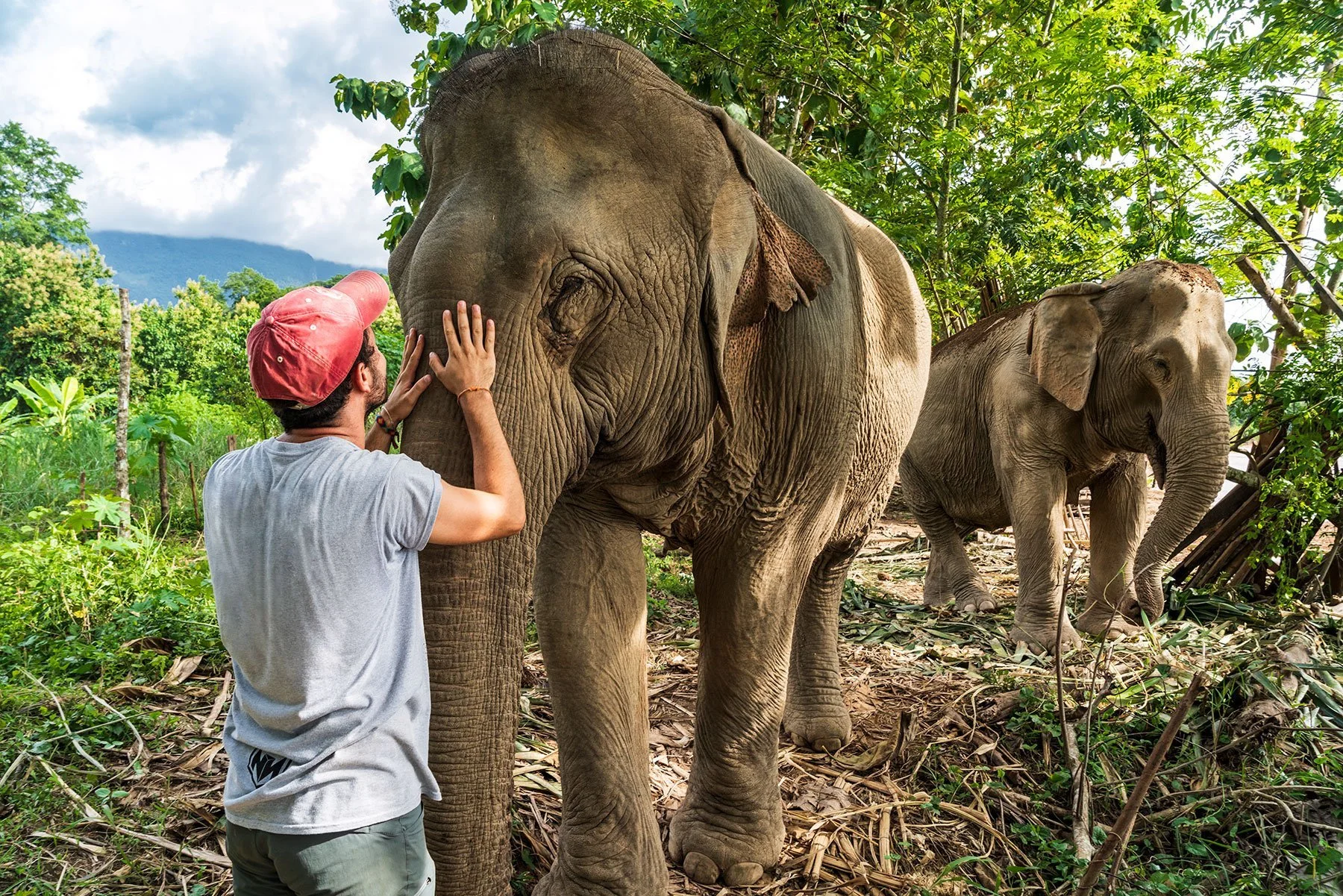 Laos DMC tour to MandaLao Elephant Sanctuary
