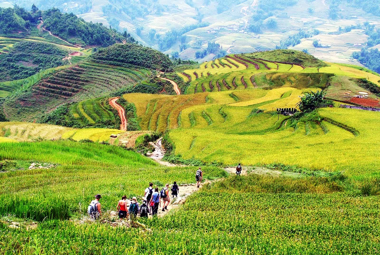 Vietnam DMC for Italian/German market – Authentic trekking adventure in Vietnam’s northern highlands