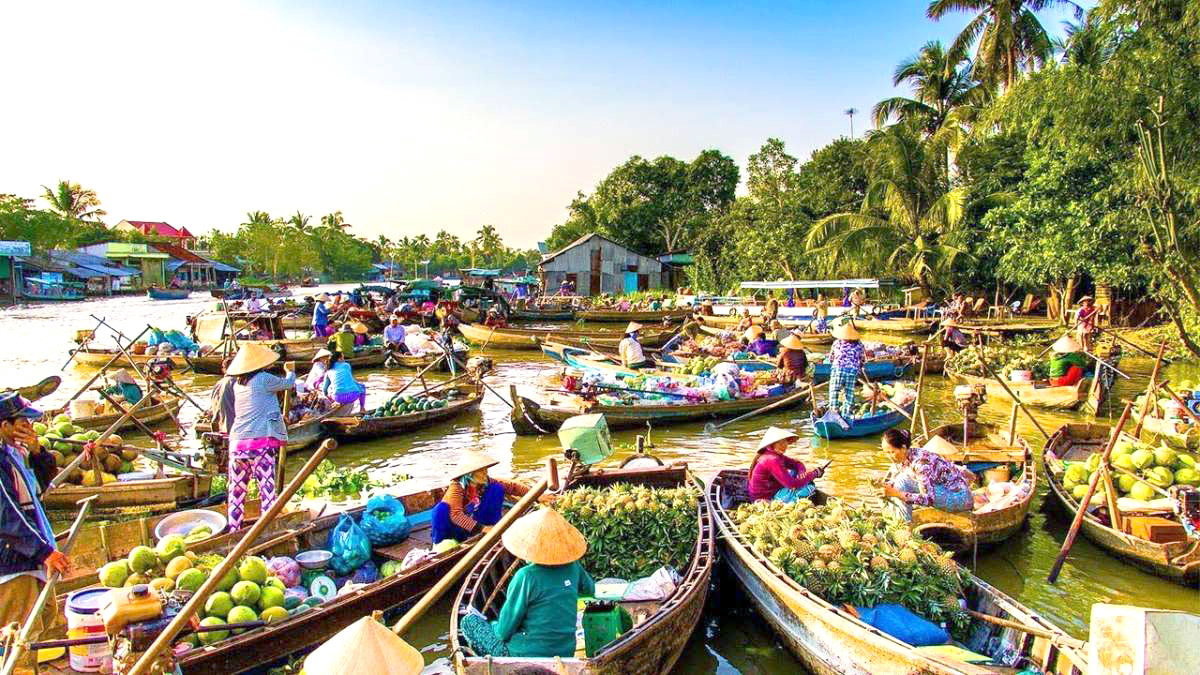 Vietnam summer travel at Cái Răng Floating Market - Vibrant boats selling tropical fruits under the morning sun