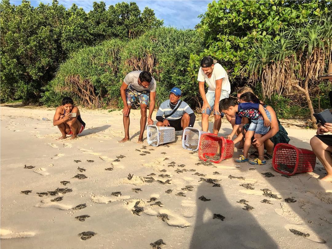 Vietnam summer travel featuring turtle conservation - Visitors witnessing baby turtle release at Con Dao's pristine beaches