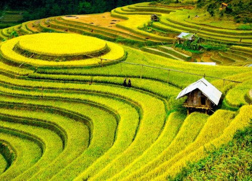 Vietnam summer travel in Sapa - Trekking through breathtaking rice terraces and mountain landscapes