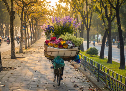 Autumn in Vietnam: What to Expect in the Season