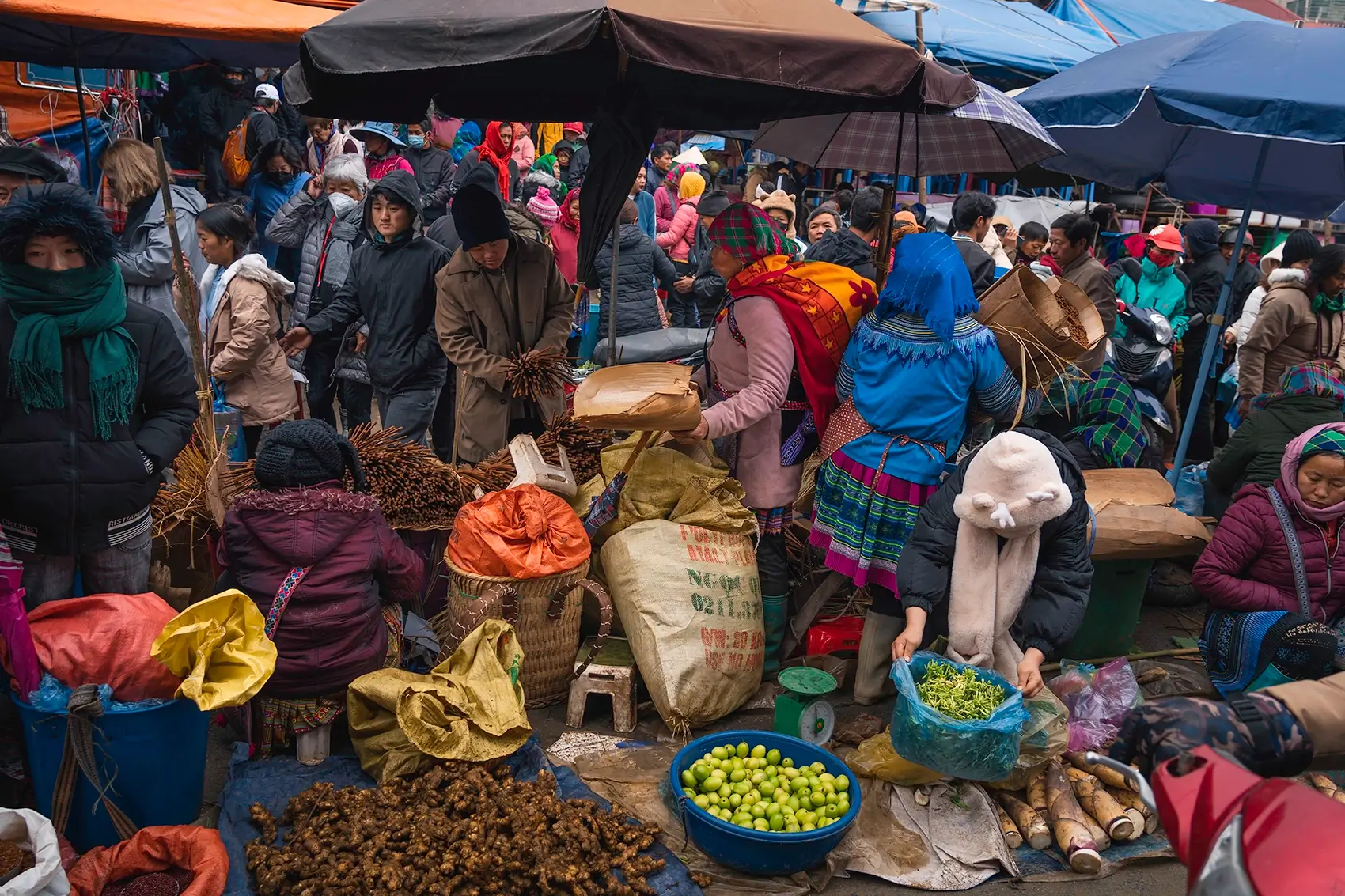 Bac Ha market scene between Ha Giang and Sapa