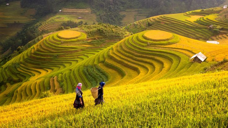 H'mong woman on a mountain road between Ha Giang and Sapa