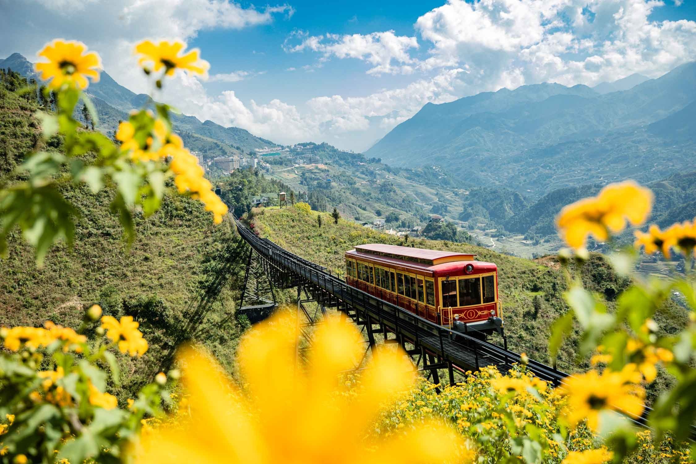 Muong Hoa Valley rice terraces near Sapa on the Ha Giang route