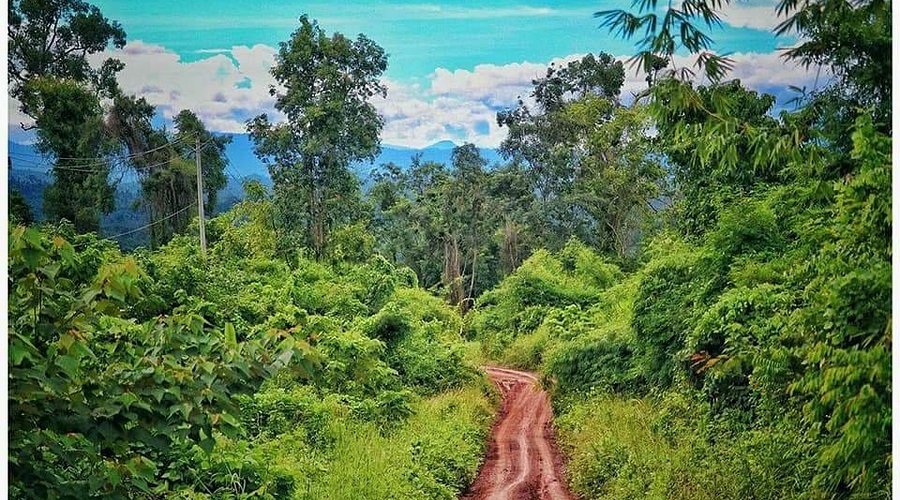 Cardamom Mountains - A local travel tips Cambodia for one of Southeast Asia's last great wilderness areas