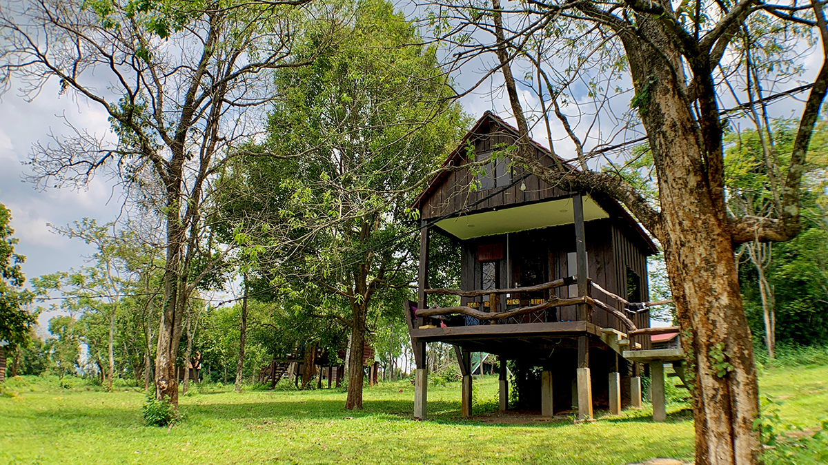 Eco-lodges in Cardamom National Park - Local travel tips Cambodia