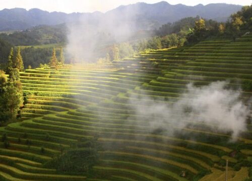 Vietnam in May: The Essential Travel Guide for Your Perfect Trip