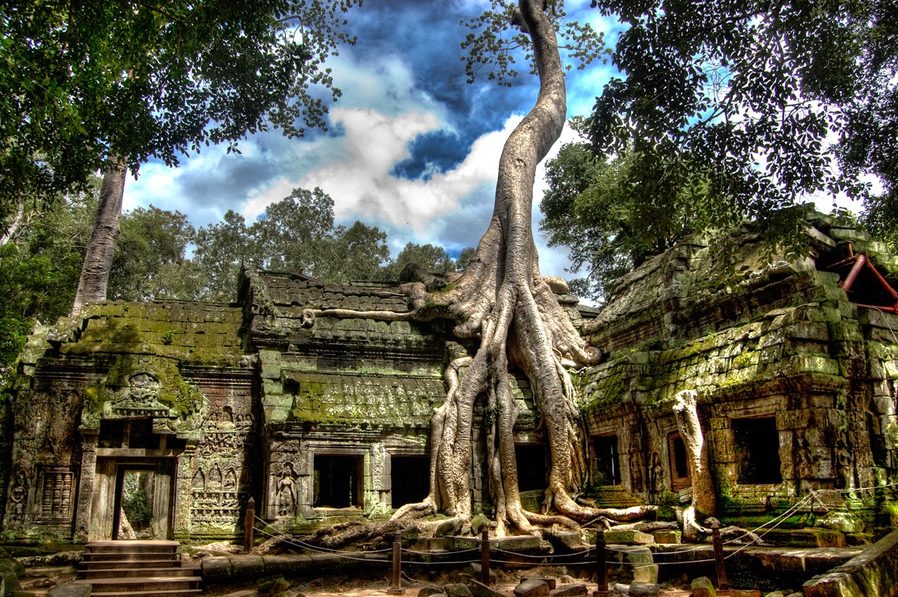 Travel to Angkor Wat to see the mystical Ta Prohm Temple