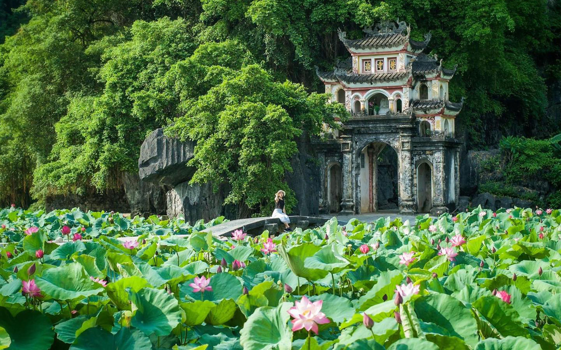 Ancient pagoda and lotus pond near lalita boutique hotel, showcasing Vietnam’s heritage, stone gate, and vibrant pink lotus blossoms.