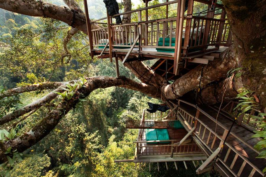 The Gibbon Experience: Adventurous Things to Do in Laos