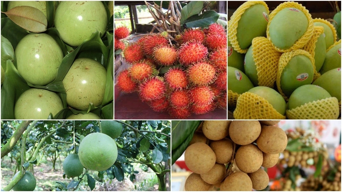 Enjoy an abundance of fresh lychees, mangoes, longans, and dragon fruit in Vietnam in April