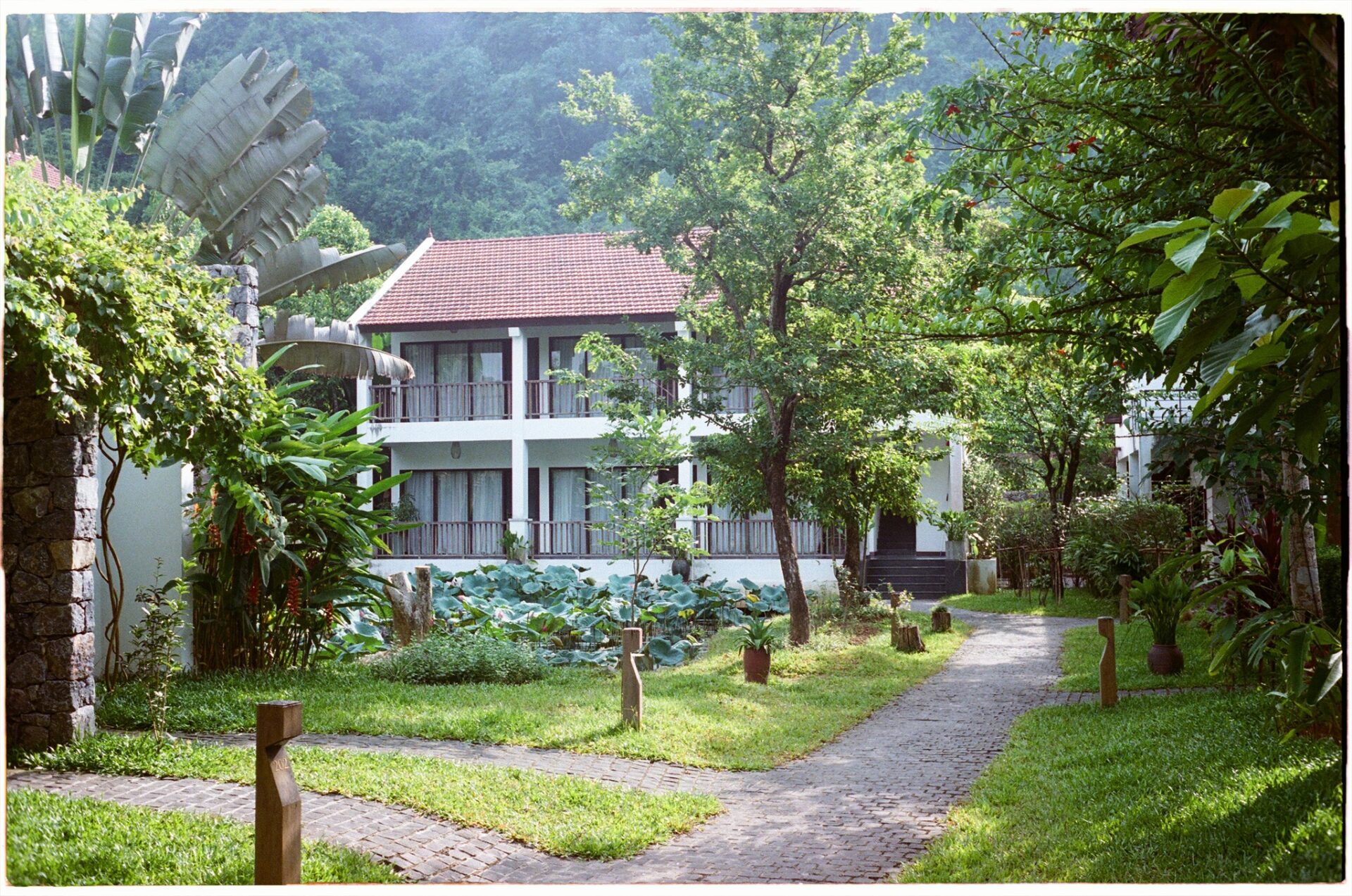 Garden pathway leading to lotus-view rooms at Aravinda Resort Ninh Binh, surrounded by lush greenery, tropical plants, and peaceful countryside.