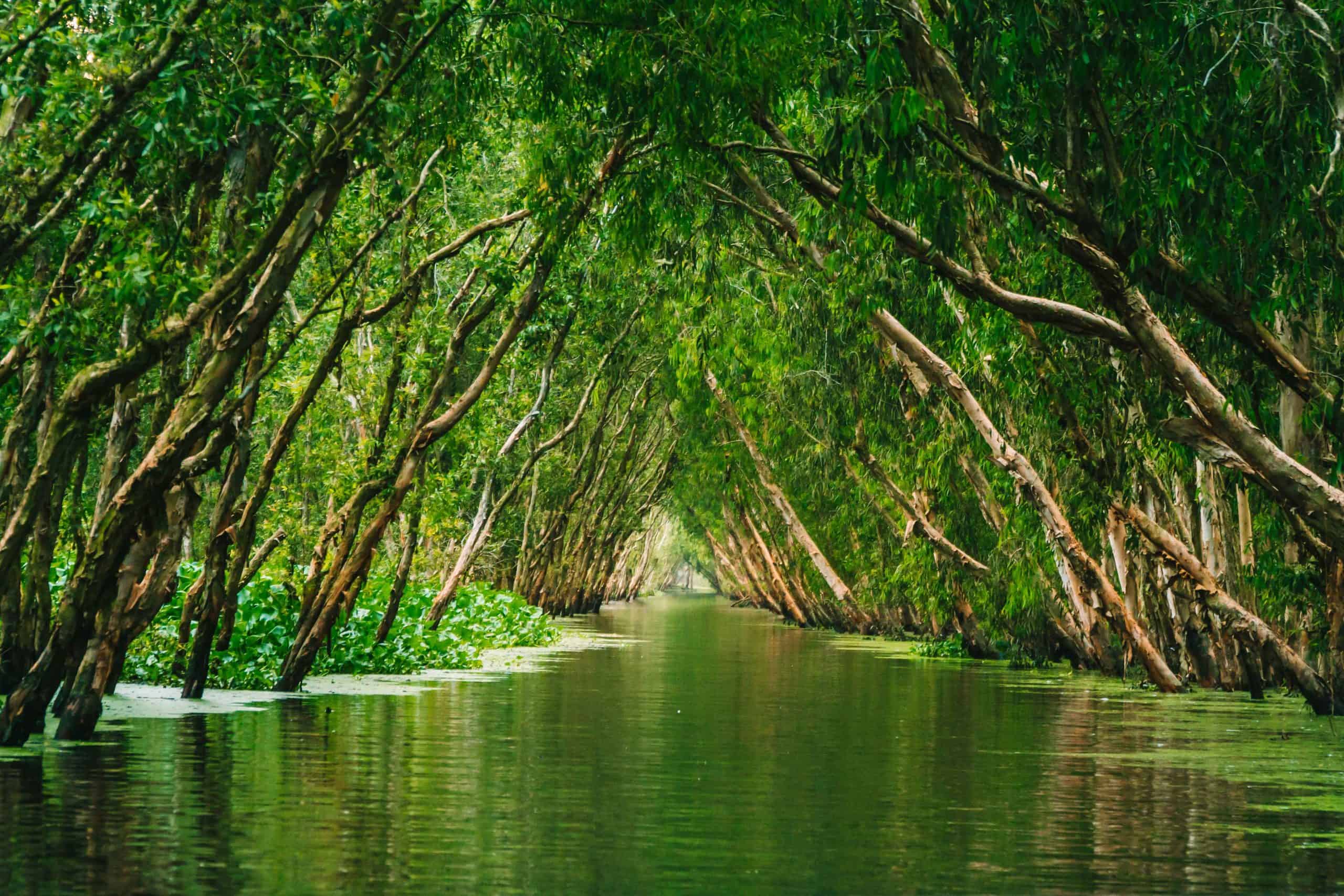 Mekong Delta, Vietnam in March – lush green waterways surrounded by dense tropical vegetation and calm canals.