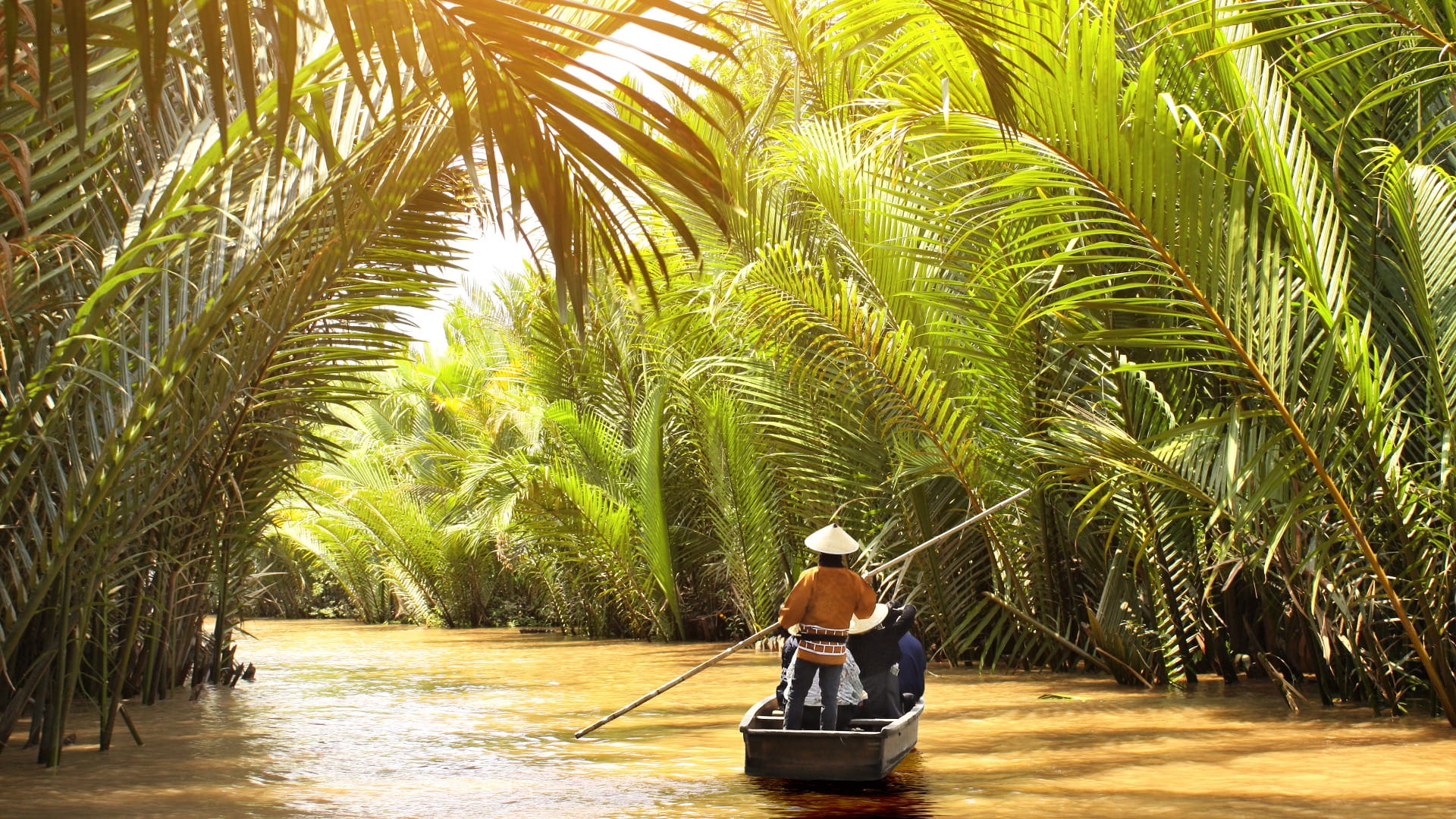 The expansive, agricultural landscape of the Mekong Delta, Vietnam in January