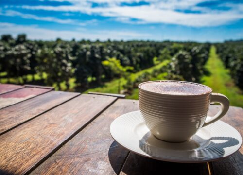 The Best Laos Cafes and Coffee Shops for an Unforgettable Brew