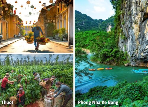 Traveling to Vietnam in March? Here’s Your Ultimate Guide