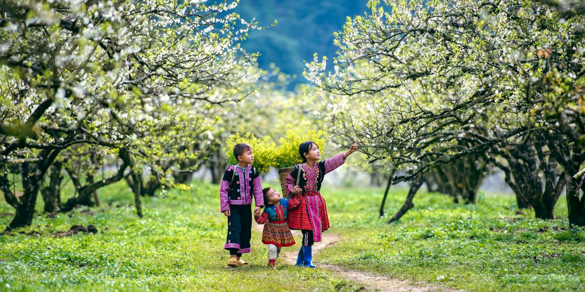 A serene scene in the highlands of Vietnam in October