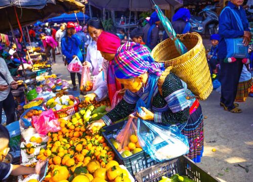 Immerse Yourself in Ethnic Culture With Sapa Market Tour