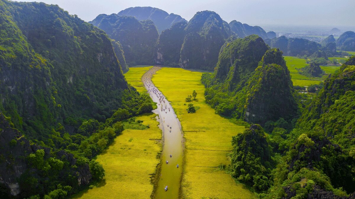 Panoramic view of the Ngo Dong River winding through golden yellow rice fields with the words 'TAM COC' visible, surrounded by lush green karst mountains, illustrating the perfect scenery during the best time to visit ninh binh