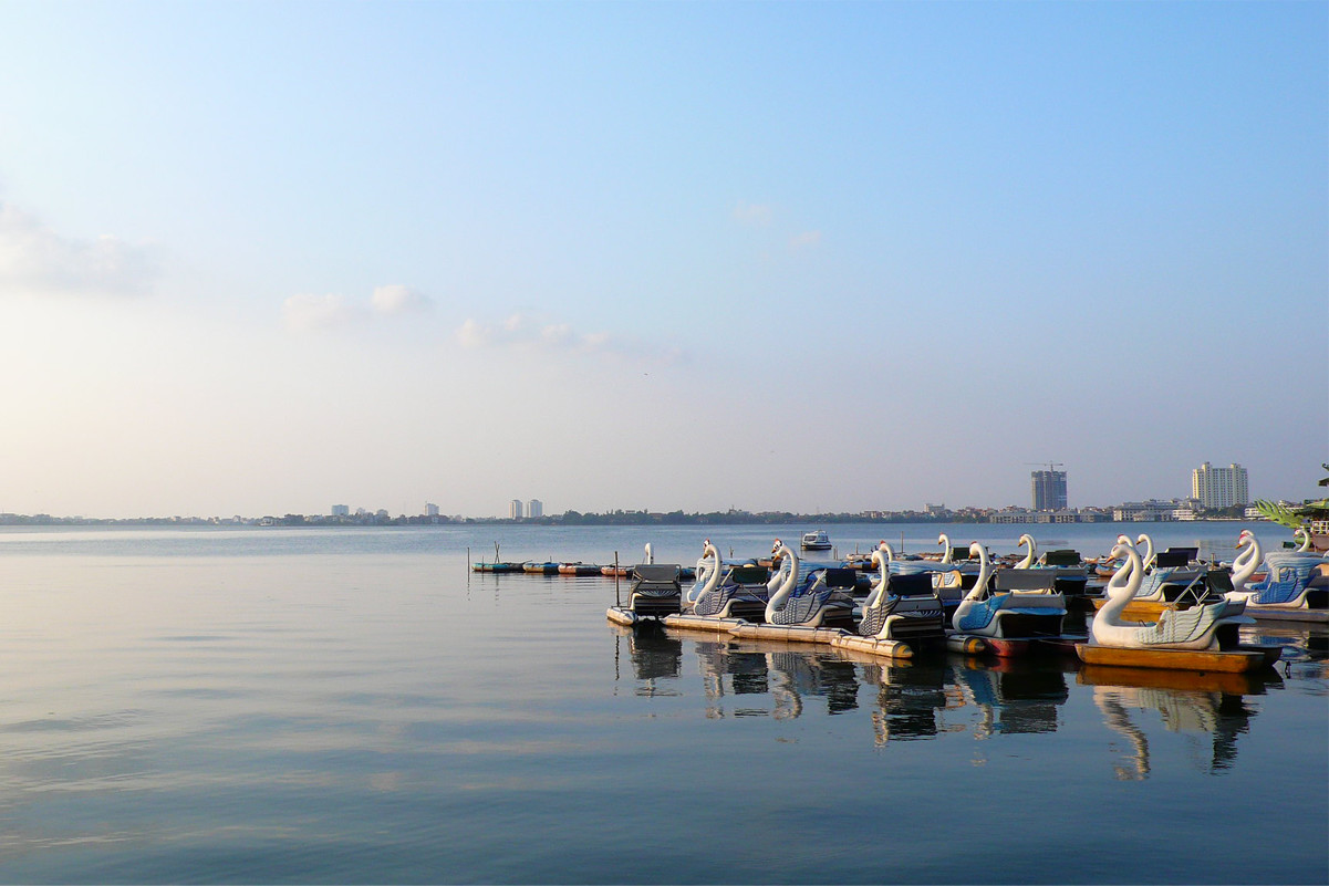A row of white swan paddle boats moored on the calm water of West Lake Hanoi