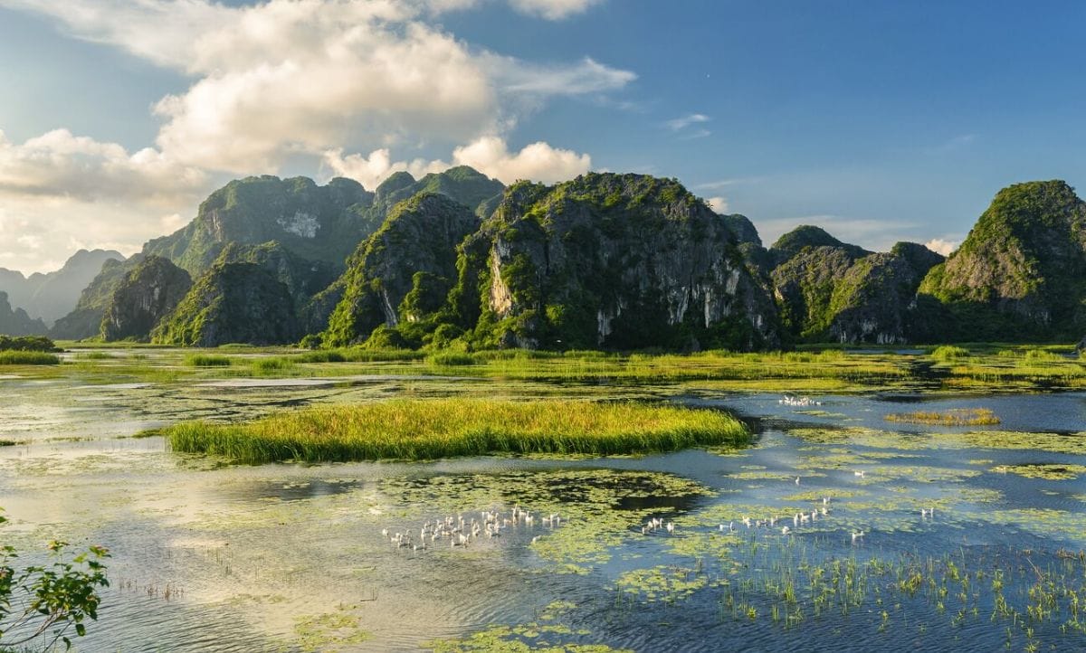 Wide landscape view of Van Long Wetland Nature Reserve, an excellent photo opportunity during the best time to visit ninh binh