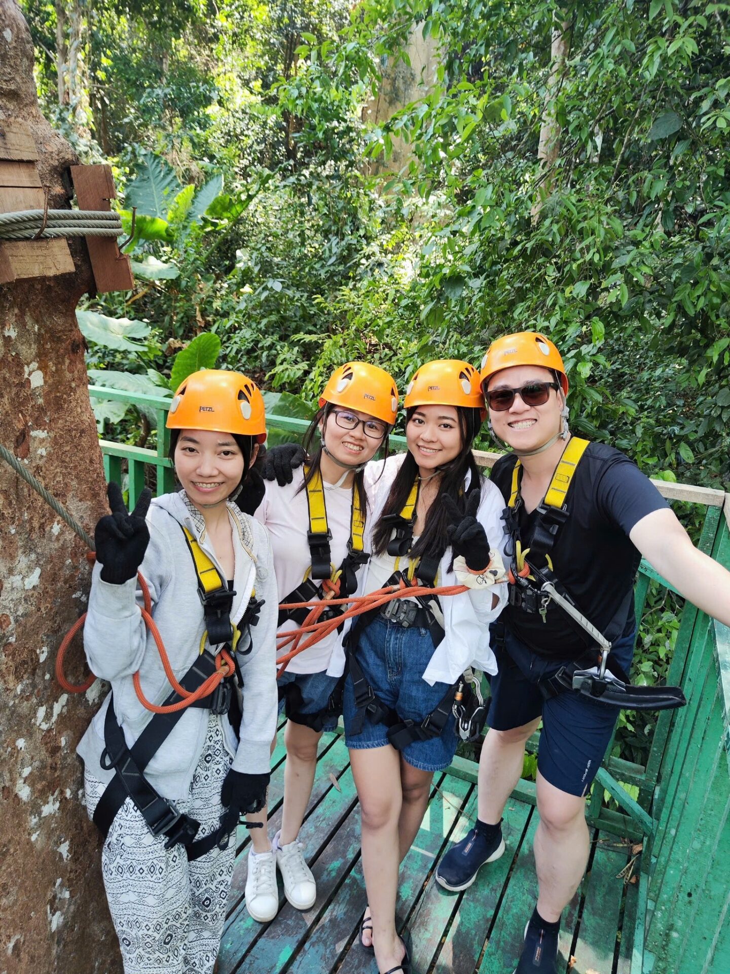 Ziplining through a dense jungle canopy, a thrilling experience often mentioned in a Vietnam travel review