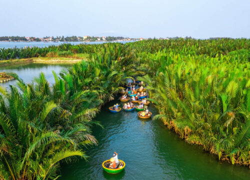 Aerial view of coconut palm forests of Cam Thanh, a unique stop on a hoi an private tour