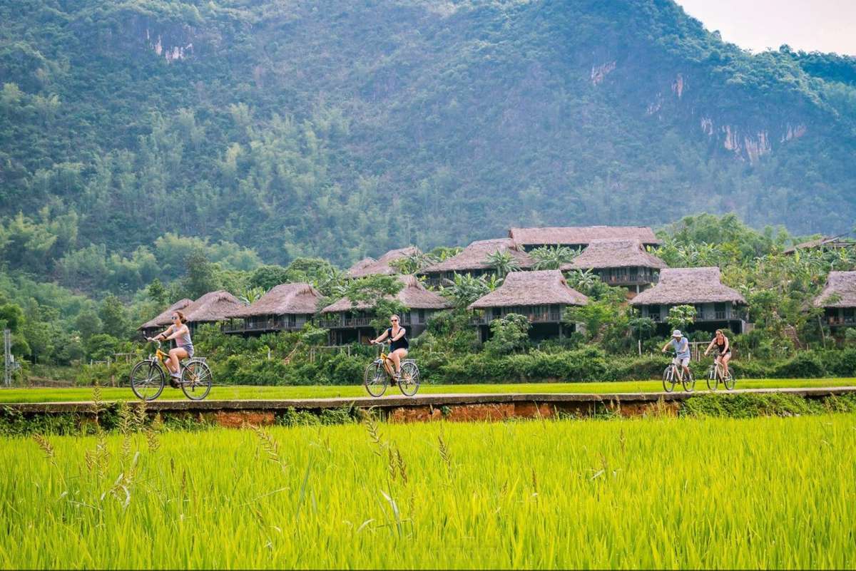 Tourists cycle through vibrant green rice fields with traditional stilt houses of Mai Chau Ecolodge