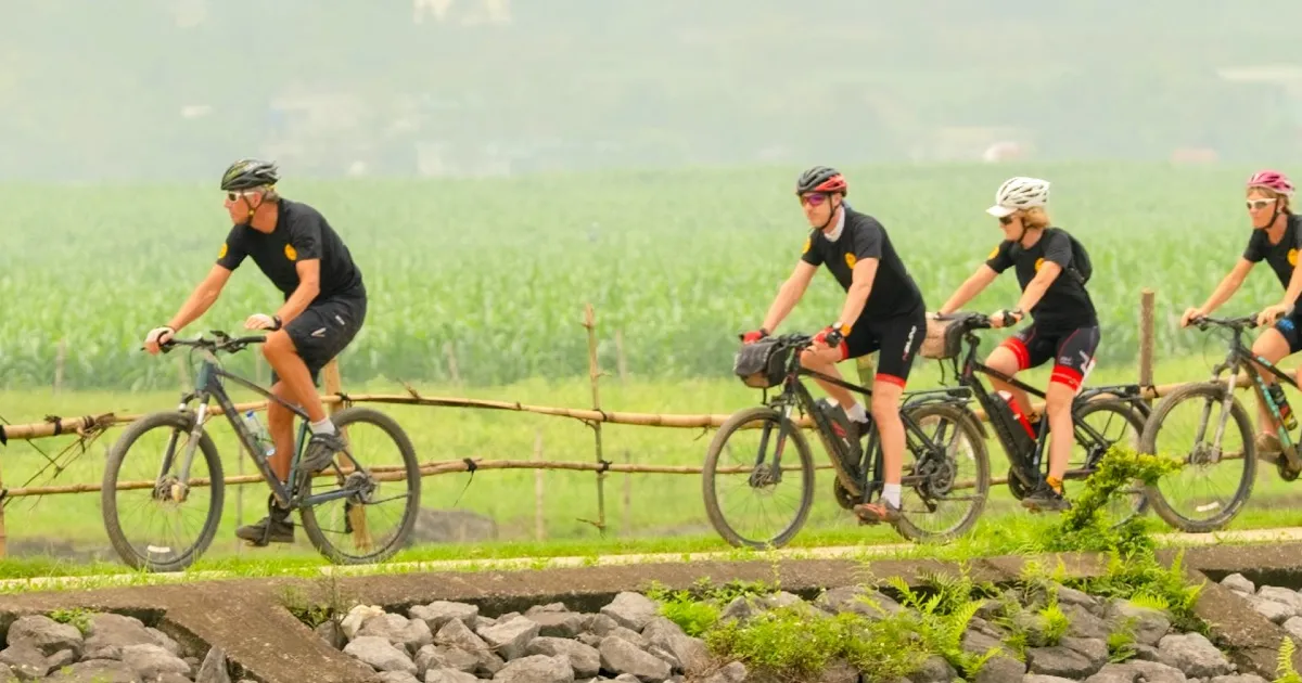 Tourists cycling on a path through vibrant green rice fields near Pu Luong Retreat