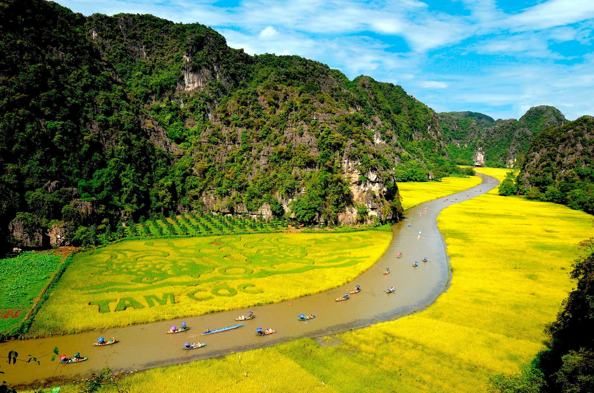 Aerial view of the Ngo Dong River in Tam Coc, Ninh Binh, showing why summer is the best time to visit ninh binh